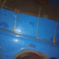 گوجه ربی درجه یک