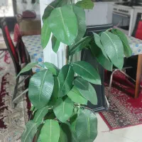 درختچه و گل فومی|گل مصنوعی|بیرجند, |دیوار