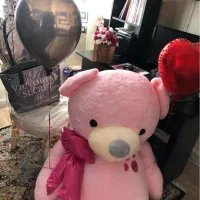 عروسک خرس ۲ متری|اسباب‌بازی بچه|تهران, سازمان برنامه شمالی|دیوار