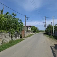 فروش ۲۵۰ متر زمین مسکونی / تنکابن قلعه گردن