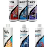 ماهی وآکواریوم(مستر دیسکس)|ماهی|تهران, باغ خزانه|دیوار