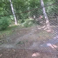 نصب و اجرای فنس و الاچیق به صورت 0تا100|خدمات پیشه و مهارت|شهرکرد, |دیوار