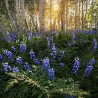 تفریح و سرگرمی