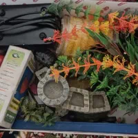 فروش آکواریوم با کلیه وسایل|ماهی|شهرکرد, |دیوار