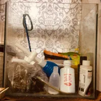 آکواریم شیشه خم