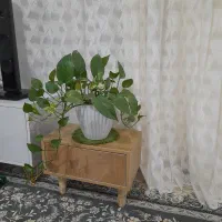 کنسول کنار مبلی زیر گلدانی|بوفه، ویترین، کنسول|بجنورد, |دیوار