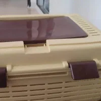 سبد