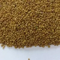 بذر خلر|گل و گیاه طبیعی|بهبهان, |دیوار