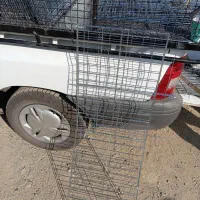 جفت کنی کبوترباقیمت مناسب اندازه مختلف