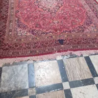 قالی 12متری نیشابور|فرش|مشهد, حرم مطهر رضوی|دیوار