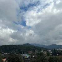 اجاره آپارتمان شیرگاه|اجارهٔ آپارتمان|شیرگاه, |دیوار