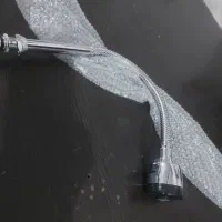 علم فنری شیر