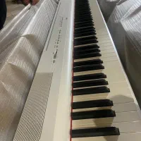 پیانو پرتابل p225 white|پیانو، کیبورد، آکاردئون|قم, مصلاء|دیوار