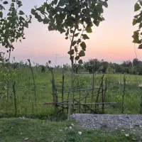 زمین با کلبه و درخت۱۴۰۰متر،سنگر|فروش زمین و ملک کلنگی|رشت, توشیبا|دیوار
