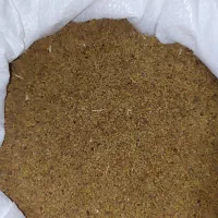 بذر یونجه محلی نیک شهری