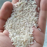 برنج هاشمی اعلاء