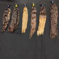 موهات رو به قیمت میلیونی بفروش