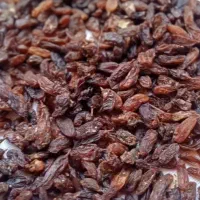 کشمش|خوردنی و آشامیدنی|نیشابور, جمهوری|دیوار