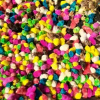 جوجه اردک دونه ای130رنگی30 محلی70سرپوشیده