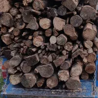 خرید چوب خشک شده ، چوب سربندی
