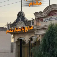 نیرو ساده خانم