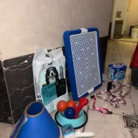 باکس و وسایل نگهداری سگ