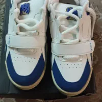 کتانی امیری 43