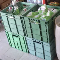 سبد شیر و دوغ