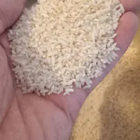 لاشه برنج هاشمی اصل|خوردنی و آشامیدنی|الوند, |دیوار