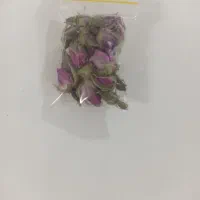 غنچه گل محمدی