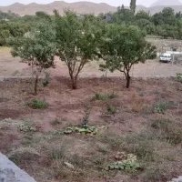 باغچه روستای وشنوه فروش یا معاوضه با تجاری|فروش دفتر صنعتی، کشاورزی، تجاری|قم, ناصردیوان|دیوار
