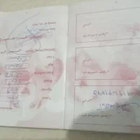 سگ ماده اشپیتز ۲ساله|سگ|وحیدیه, |دیوار