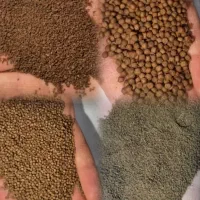 آرتمیا دافنی اسپرولینا کاتاپا میکروورم