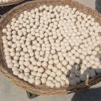 فروش کشک محلی|خوردنی و آشامیدنی|شیراز, کلاهدوز|دیوار