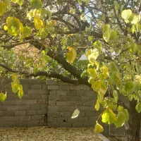 فروش خانه ویلایی واقع در هشتگرد روستای حاجی بیک