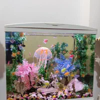 آکواریوم خوشگل شرکتی با تمام وسایل در حد نو|ماهی|قوچان, |دیوار