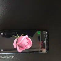 گوشی سامسونگ F14