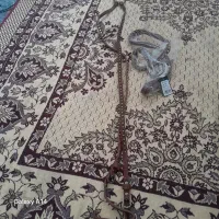 کمربند زنانه شیک|کیف، کفش، کمربند|مشهد, کوه سنگی|دیوار