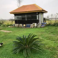 سرایدار|استخدام سرایداری و نظافت|تولم شهر, |دیوار