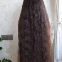 بزرگترین صادر کننده مو