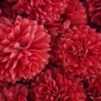 فروش عمده سرگل داوودی درجه یک رنگبندی کامل|گل مصنوعی|تهران, وصفنارد|دیوار