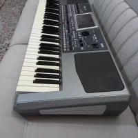 ارگ کرگ korg pa 900|پیانو، کیبورد، آکاردئون|شاهرود, |دیوار