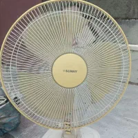 پنکه سانی