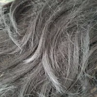 کلاه گیس|آرایشی، بهداشتی، درمانی|نیشابور, فرح بخش|دیوار