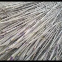 نی فروشی کلاله