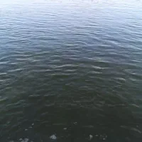 زمین کشاورزی.|فروش دفتر صنعتی، کشاورزی، تجاری|هریس, |دیوار