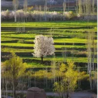 خانه ویلایی در جوشقان قالی