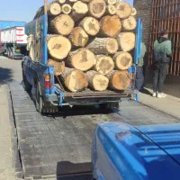 خدمات چوب بری  و هرس درختان