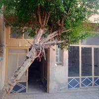 اجاره خانه ویلایی در عطاران