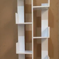 کتابخانه درختی|کتابخانه، شلف، قفسههای دیواری|کرمان, |دیوار